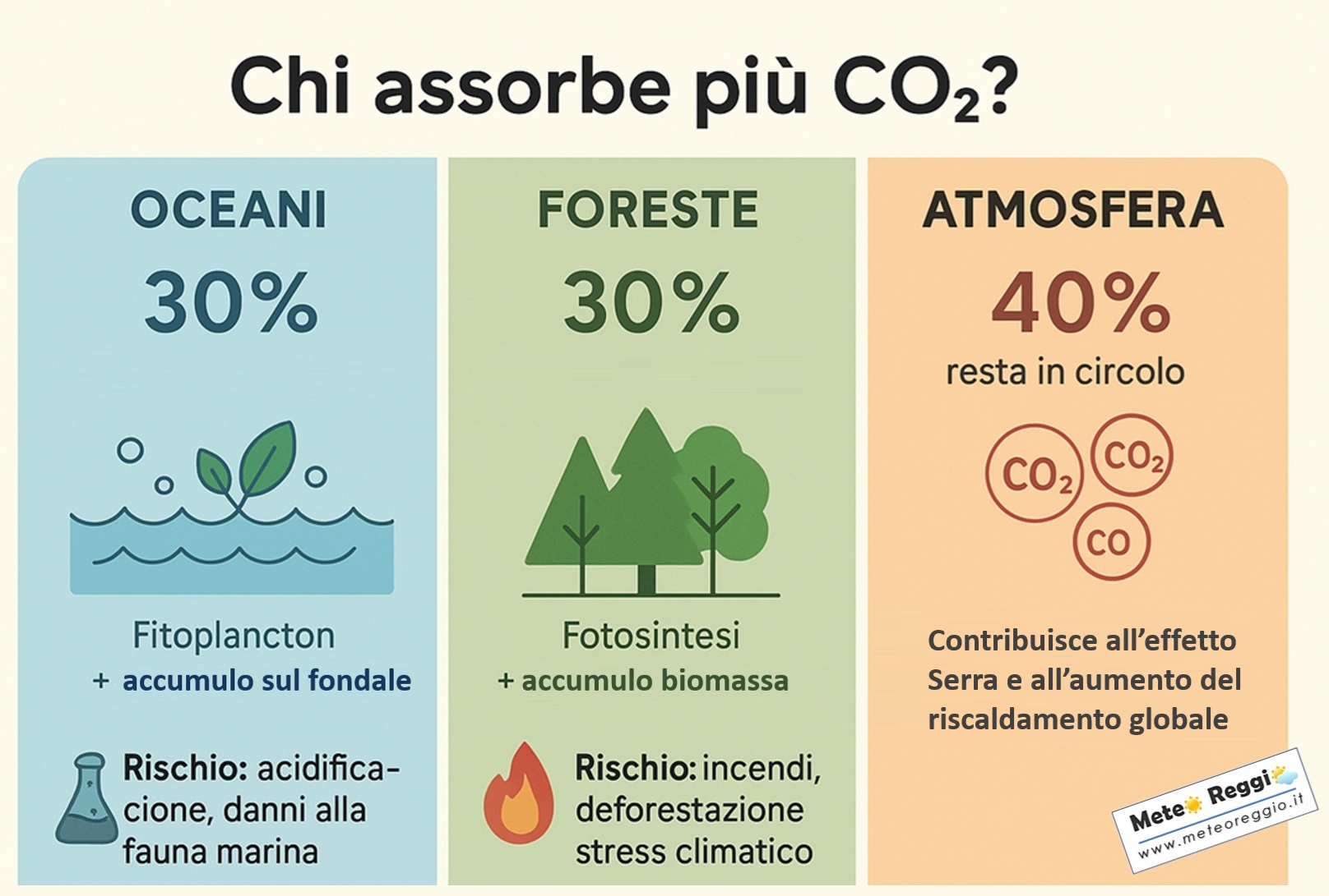 Chi assorbe più anidride carbonica: le foreste o gli oceani?