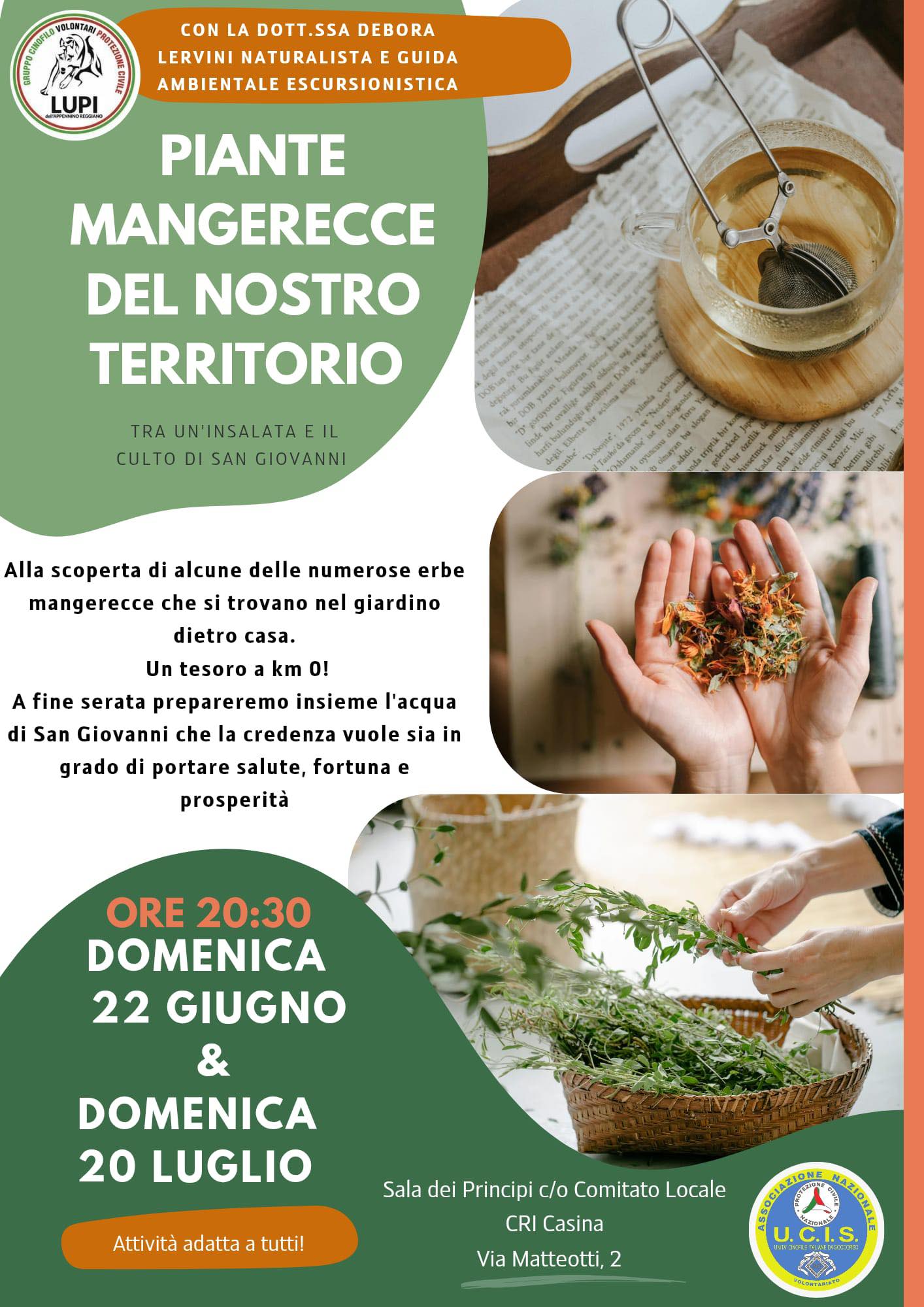 Piante mangerecce del nostro territorio: eventi 2025