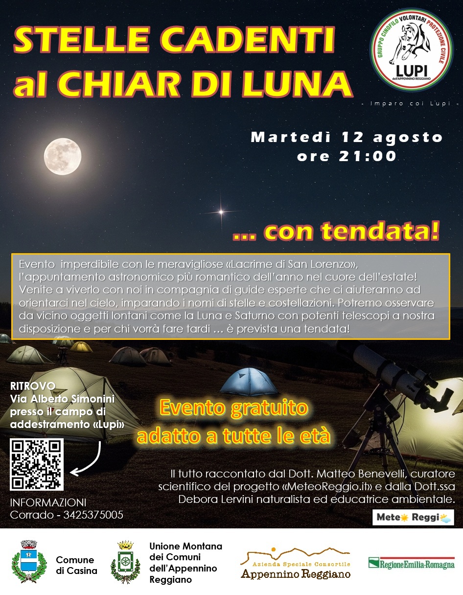 Prossimo evento: Stelle cadenti al chiar di Luna