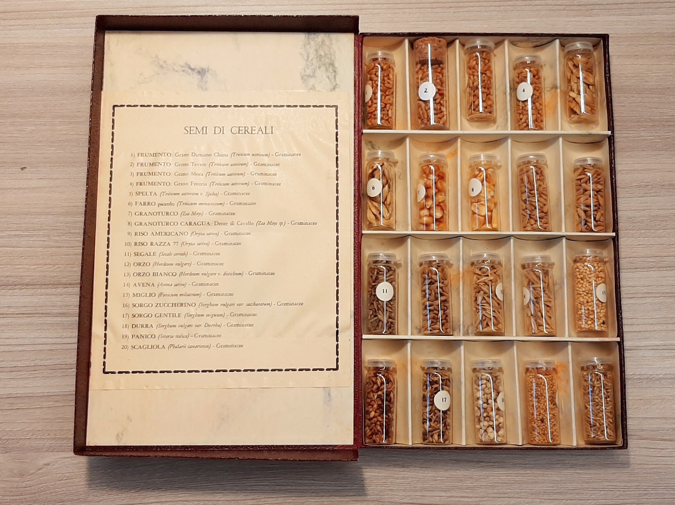 Collezione storica di 20 specie di semi di cereali