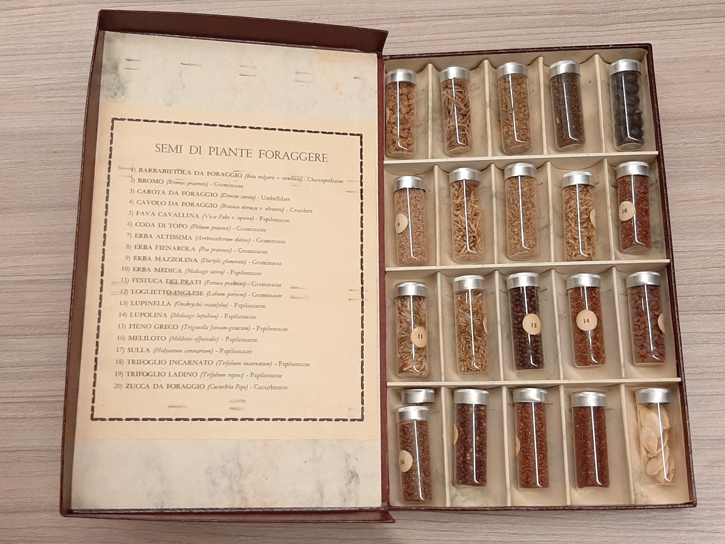 Collezione storica di 20 specie di semi di piante foraggere