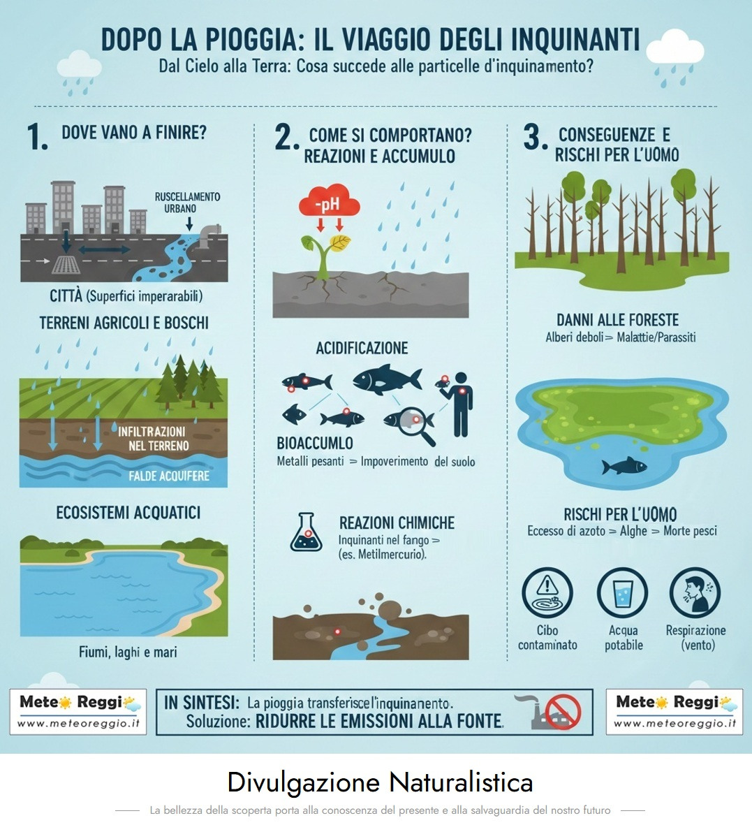 Il viaggio degli inquinanti dopo la pioggia