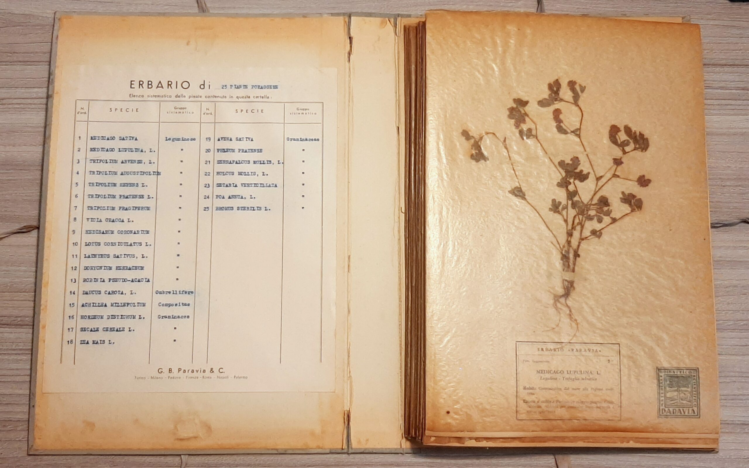 Erbario G.B.Paravia delle piante foraggere di inizio ‘900